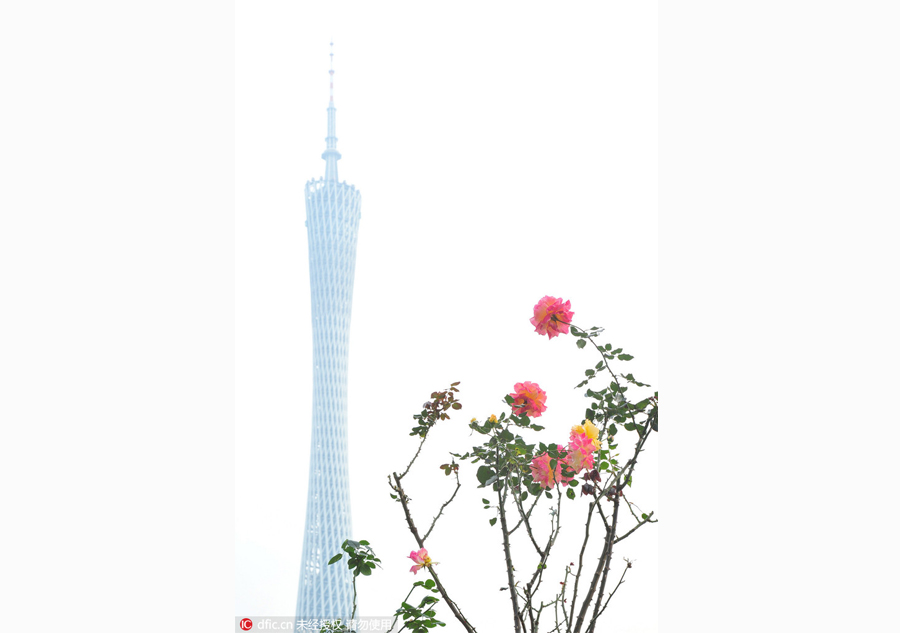 Discover beautiful China in spring blossom (II)