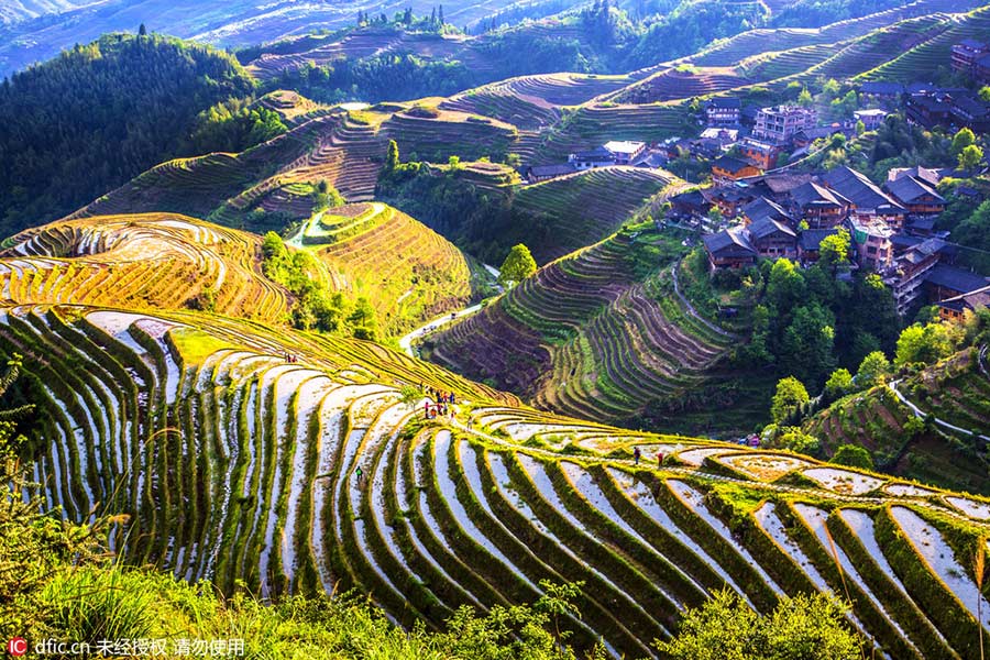 Discover beautiful China in spring blossom (II)