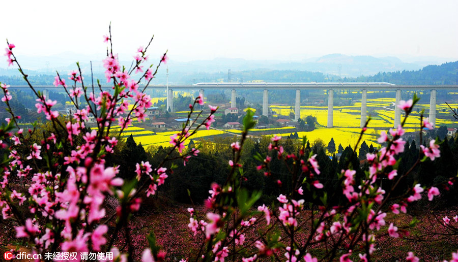 Discover beautiful China in spring blossom (IV)