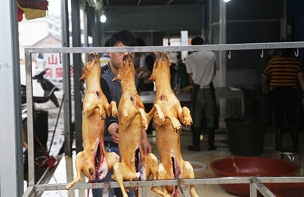 Campaigners renew calls to ban Yulin dog meat festival