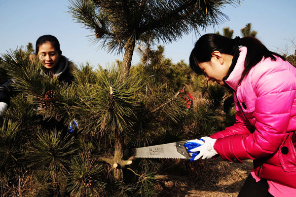 Research due on anti-pollutant role of China's forests