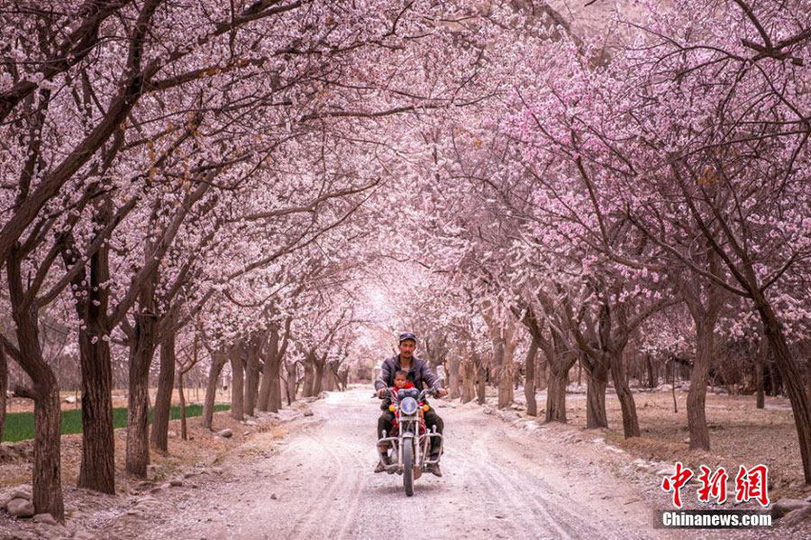 Hidden paradise found in remote NW China