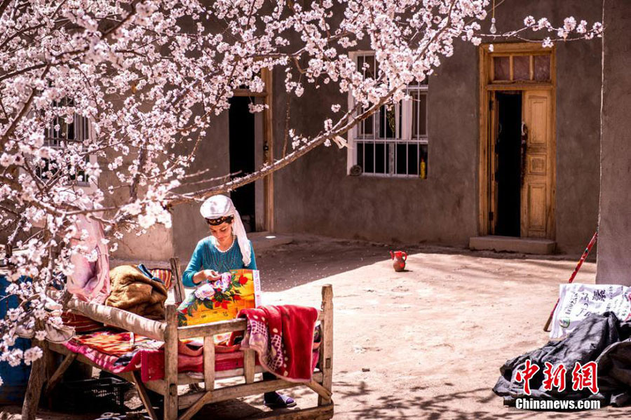 Hidden paradise found in remote NW China