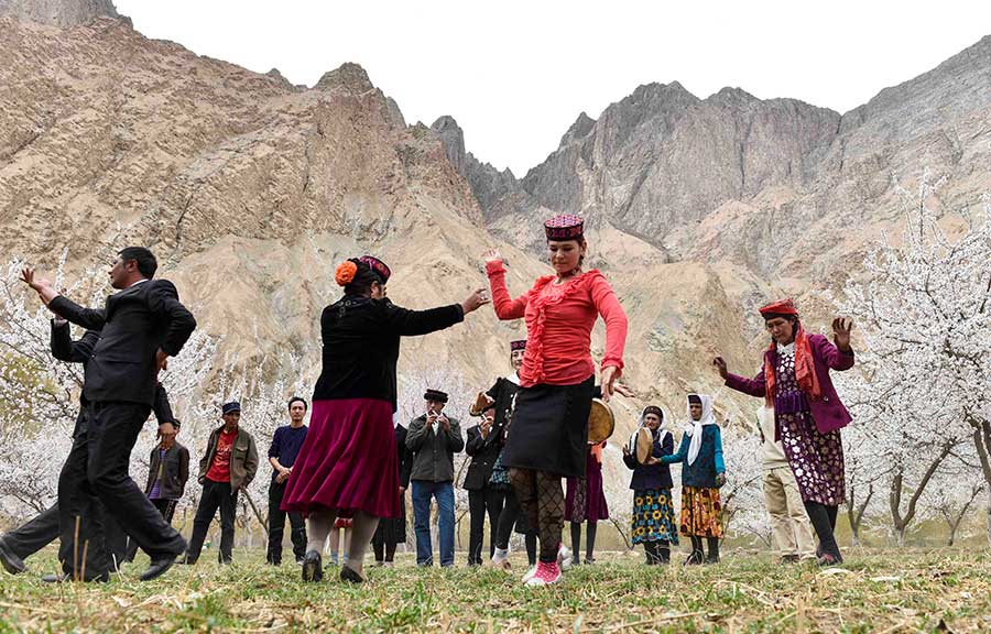 Sea of apricot flowers draws tourists to Pamir Plateau