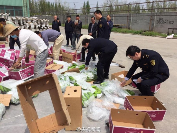 Shanghai destroys 60 tons of infected Philippine bananas