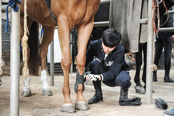 Equestrianism gains currency in China