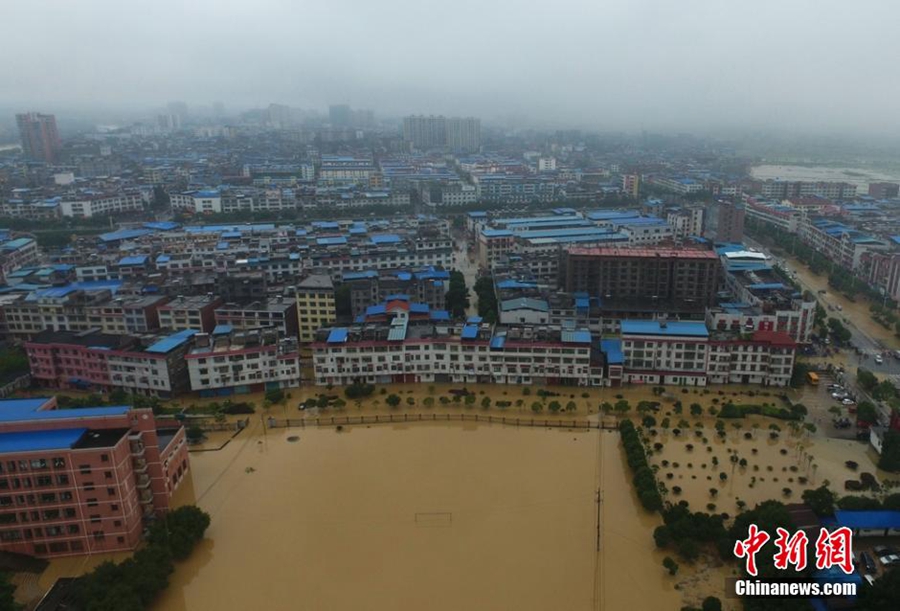 Residents net fish on flooded road in C China