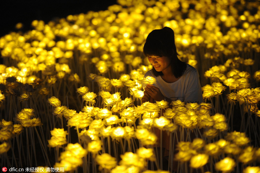 Millions of LED lights to create a dreamy world