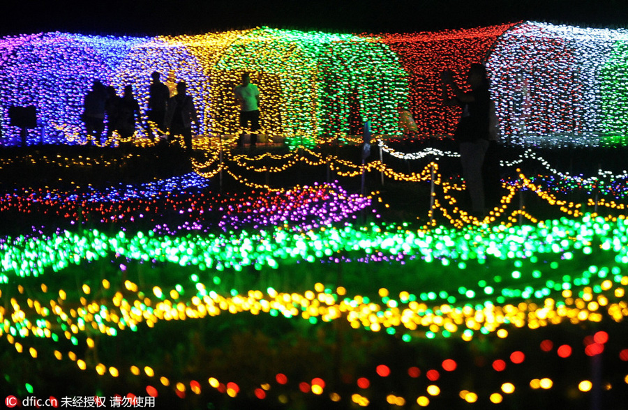 Millions of LED lights to create a dreamy world