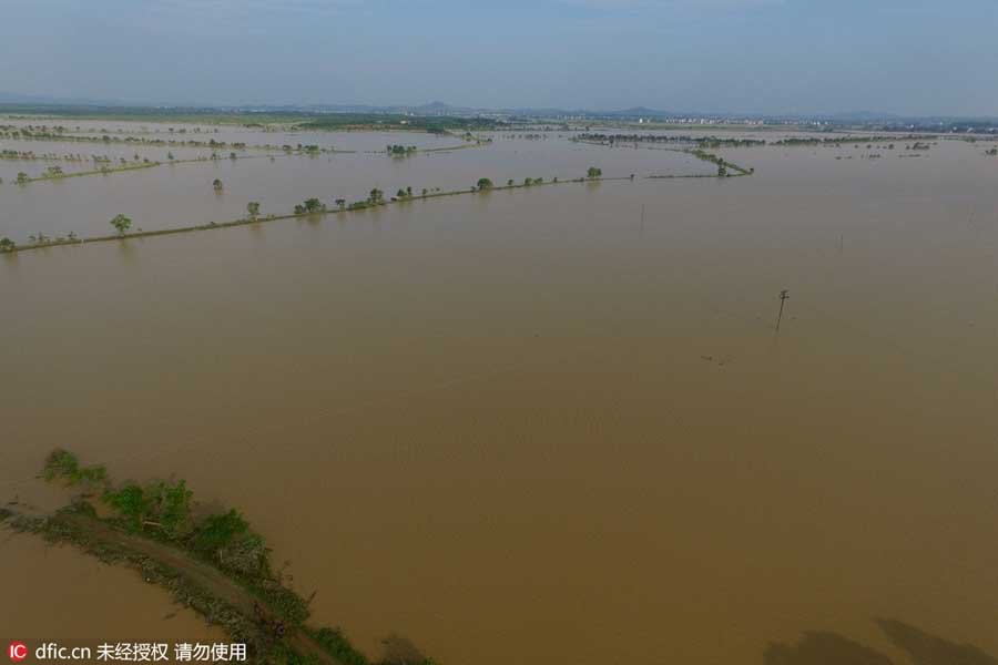 Armed police mend gap in E China river defenses