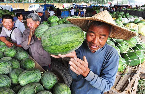 Some netizens take their watermelons seriously