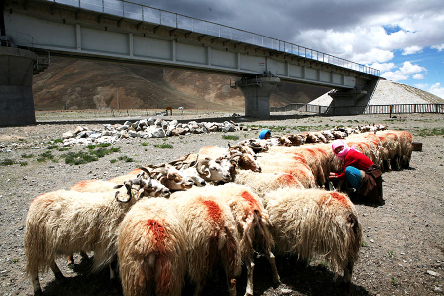 Tenth birthday of the world's highest altitude train line