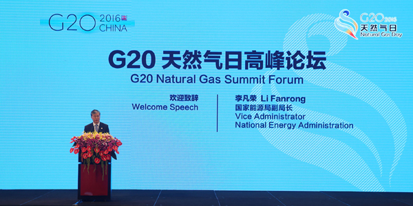 G20 ministers highlight renewable energy in Beijing communique