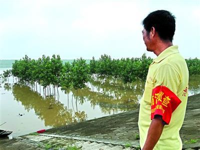 Dramatic stories during China's floods