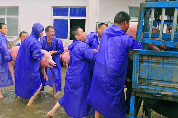 Dramatic stories during China's floods