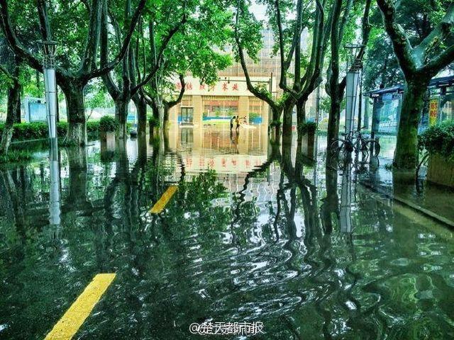 Wonderland appears in campus after rainstorm