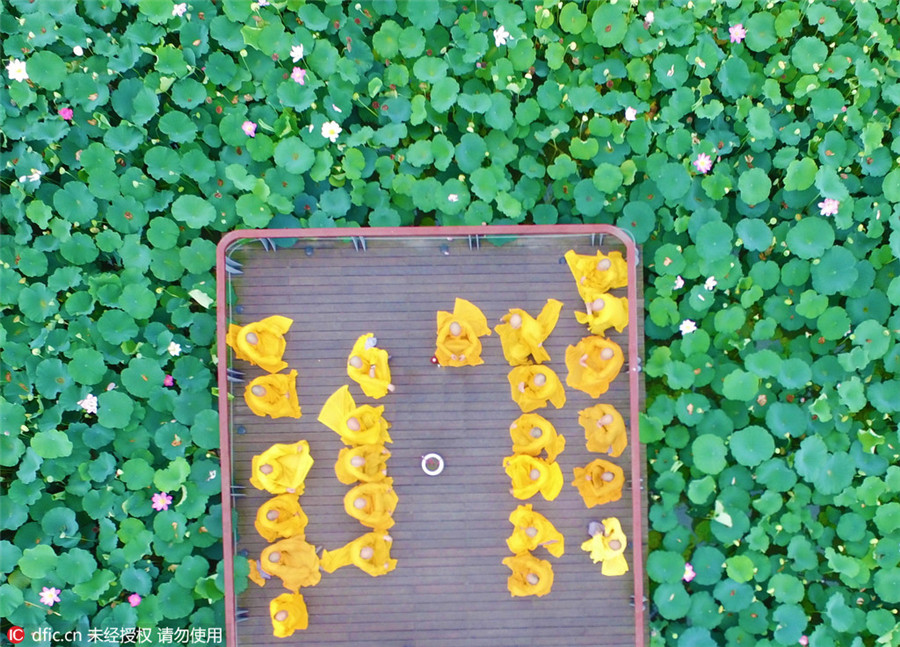 Monks seek tranquility inside lotus ponds