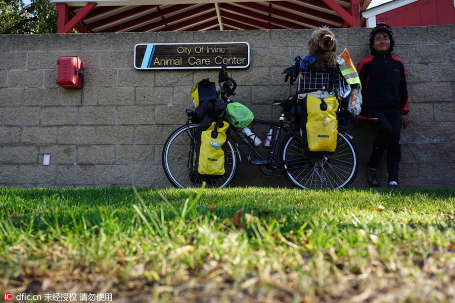 Man cycles the world with his dog to support animal care