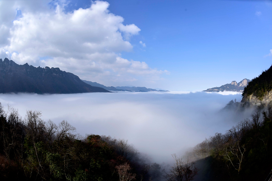 China's Hubei Shennongjia added to World Heritage List