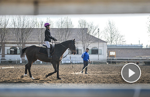 Equestrianism gains currency in China