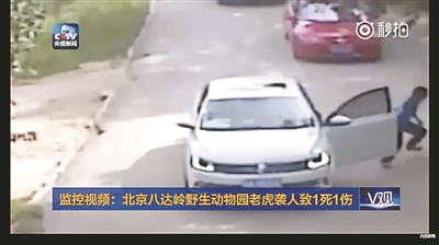 Woman mauled to death by tiger in Beijing animal park