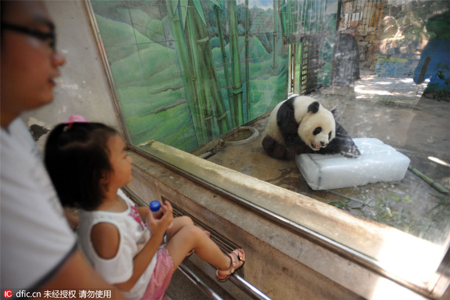 Animals look for ice, shade to beat heat in Hubei