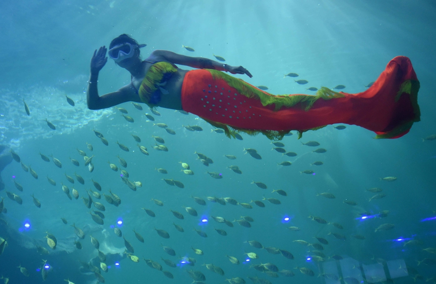 'Mermaids', dancers and whales create a splash at Guizhou's ocean park