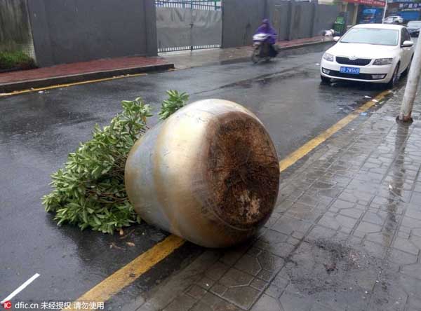 Guangdong and neighboring areas brace for Typhoon Nida