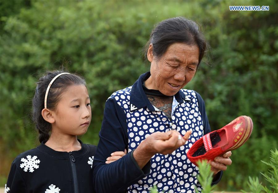 Story of a 'left-behind child' in SW China