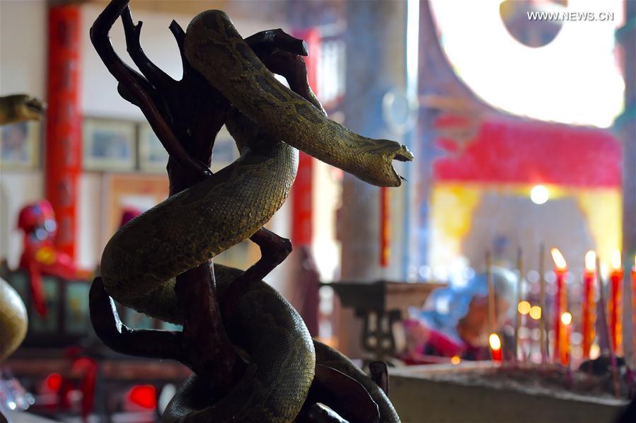 Snake worship ceremony held in SE China