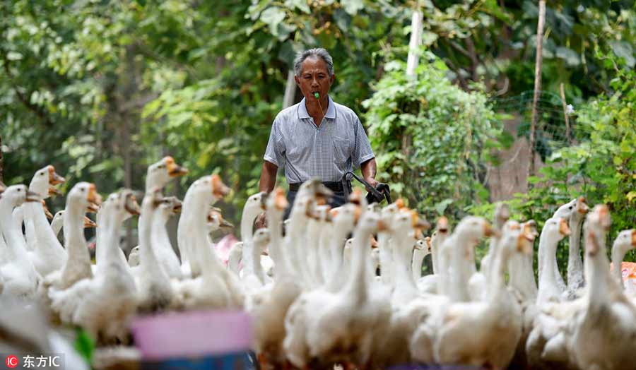 Ten photos from around China (Aug 13-19)