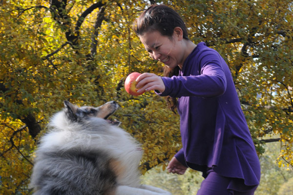 Pet photos costing hundreds of dollars are trendy