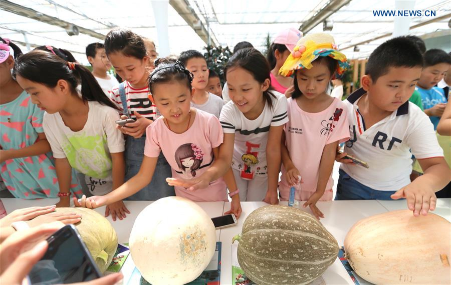 Primary school students given class at agricultural demonstration base