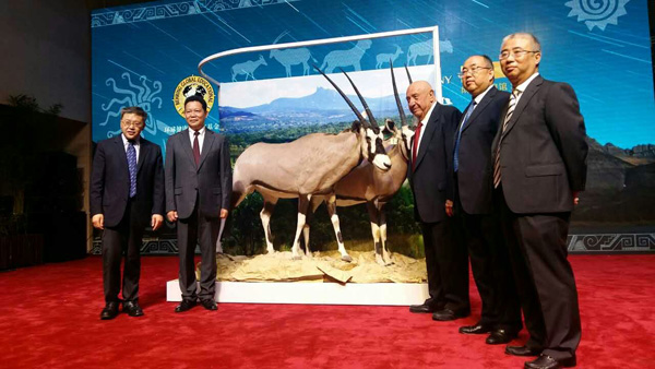 Rare animal specimen donated to Sichuan museum