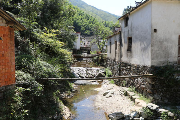 Green fishing method increase locals' income in Yellow Mountain