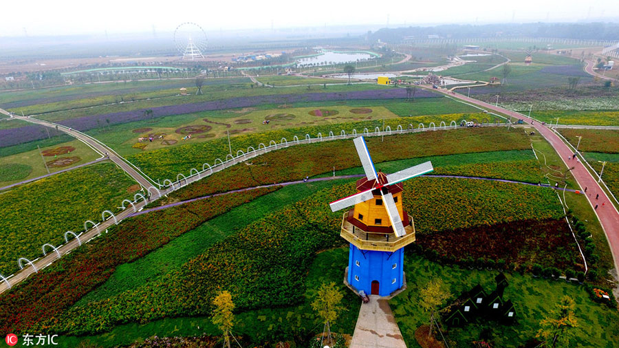 Henan's huge flower field spreads its scent far and wide