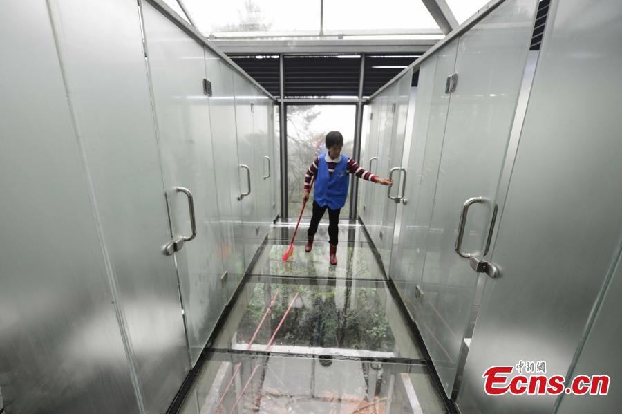 Dare to answer the call of nature in a transparent bathroom?