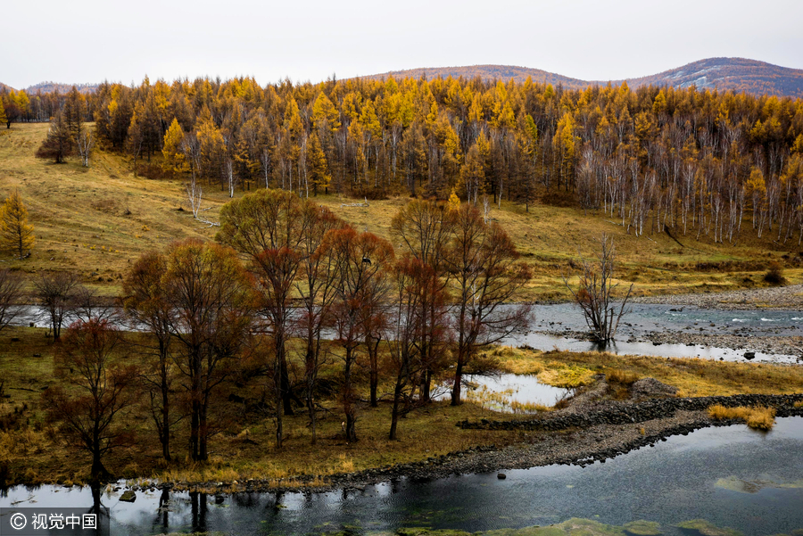 Autumn colors in China