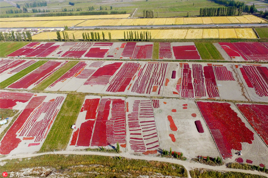 Ten photos from around China: Oct 7-13