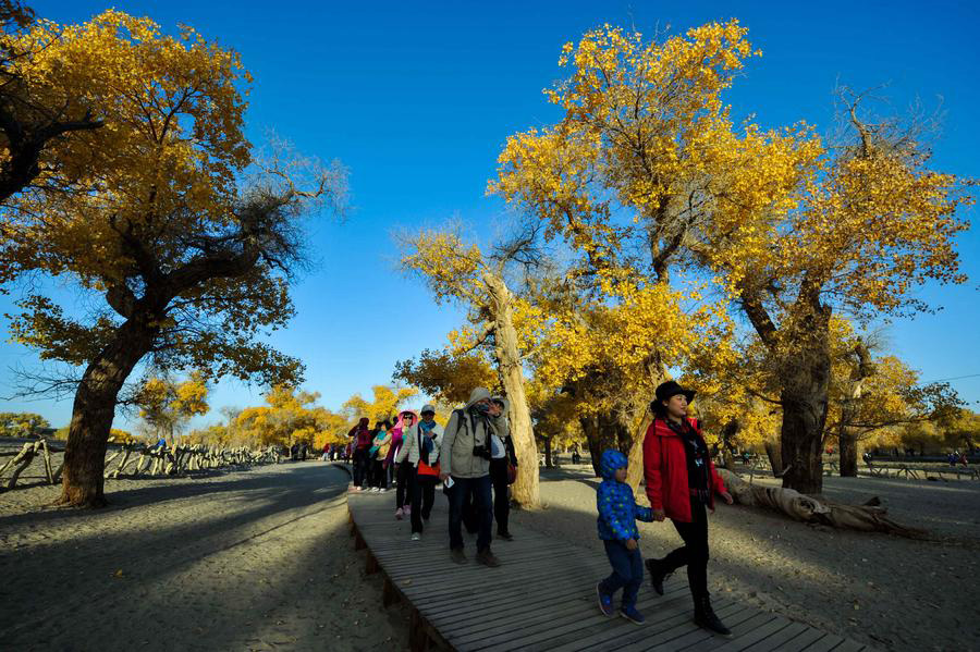 Ejin oasis in N China famous for diversiform-leaved poplar forests