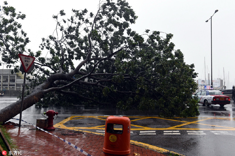 Typhoon lashes into south coast