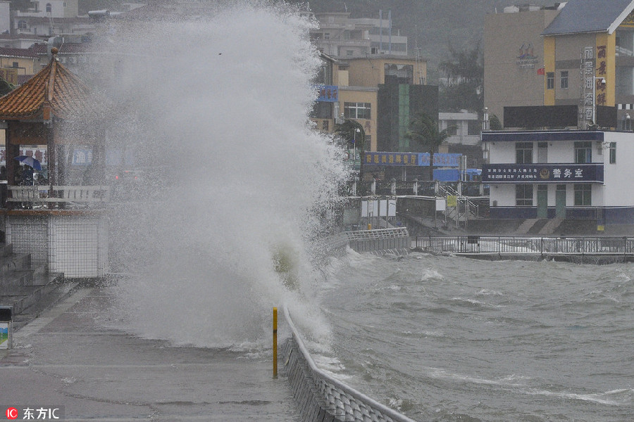 Typhoon lashes into south coast