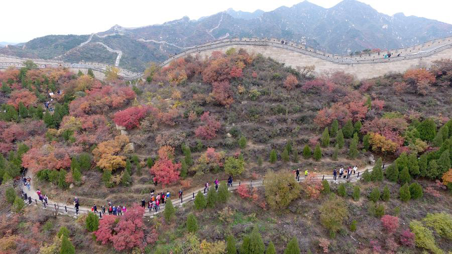 Colorful leaves adorn Great Wall in Beijing