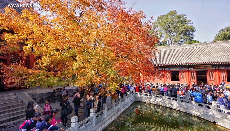 Red leaves reveal beauty of autumn