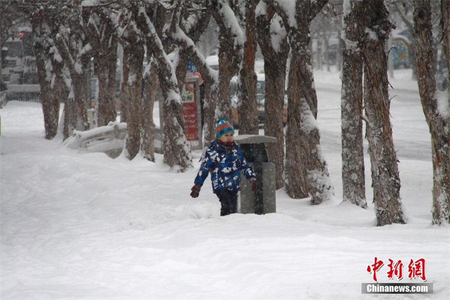 Snow storm hits Xinjiang