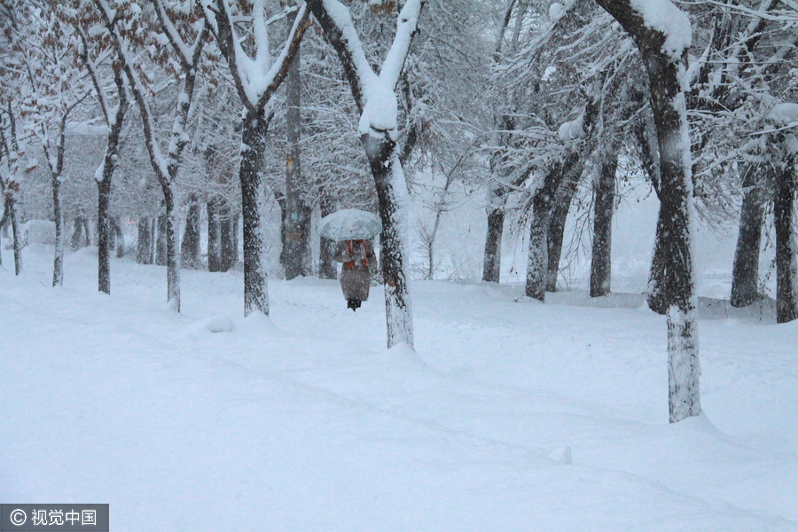 Heavy snowstorm blankets Altay in Xinjiang