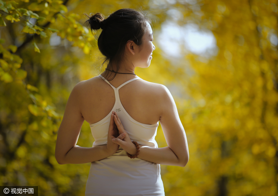 Yoga among the gingko trees