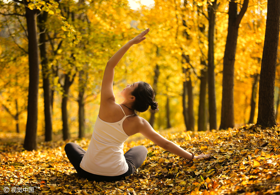 Yoga among the gingko trees