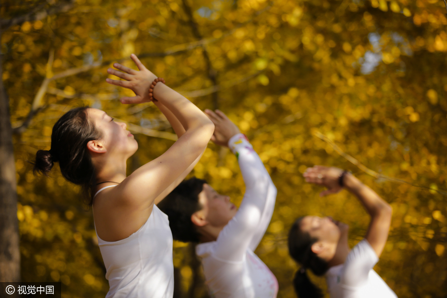 Yoga among the gingko trees