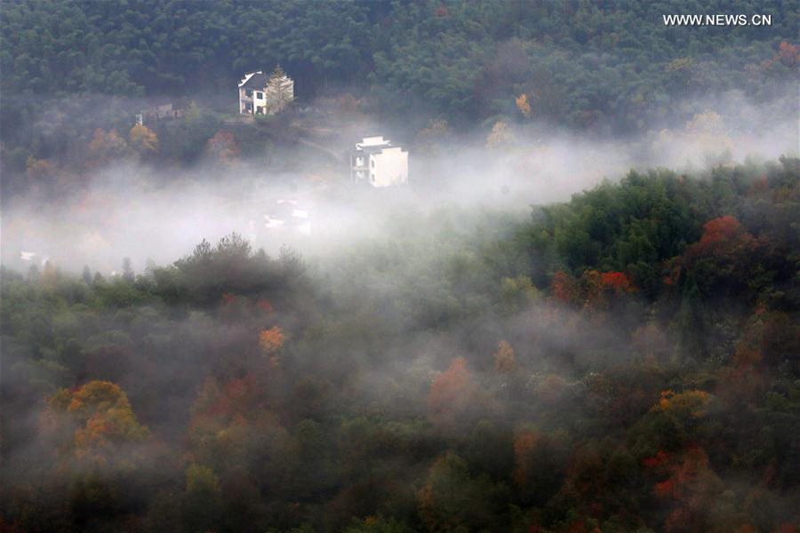 Scenery of Tachuan village in E China's Huangshan